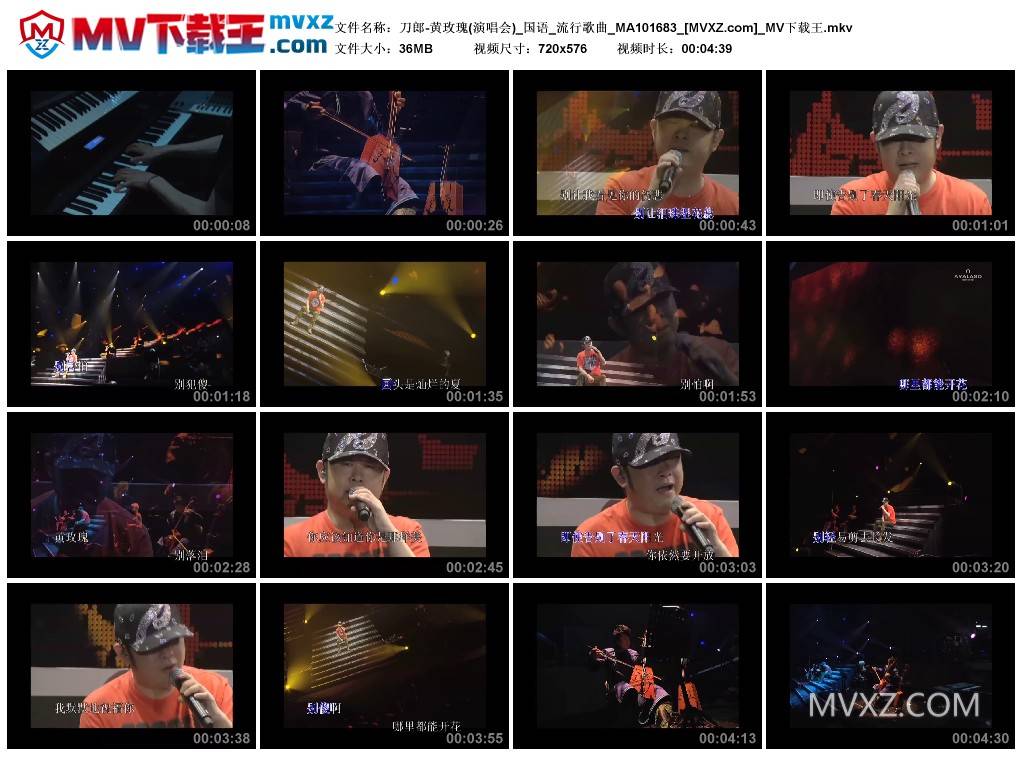 刀郎-黄玫瑰(演唱会)_国语_流行歌曲_MA101683